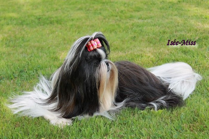 Ilona dite isée-miss Land Of Pandora