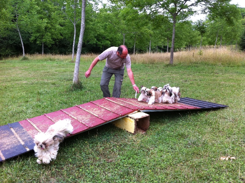 Agility
